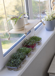 Similar image 22136072