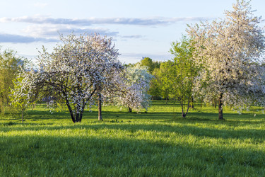 Similar image 22136074