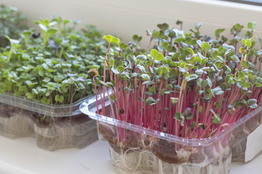 Similar image 22136075