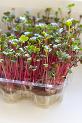 Similar image 22136079