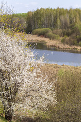 Similar image 22136080