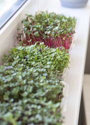 Similar image 22136082