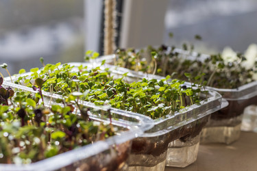 Similar image 22136085