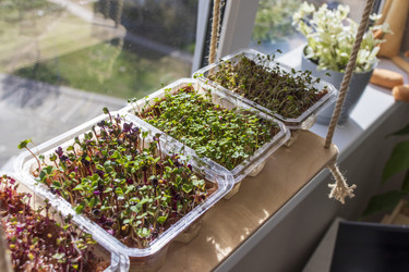 Similar image 22136086