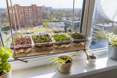 Similar image 22136087