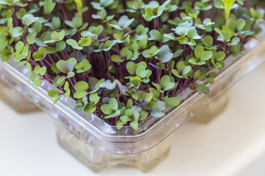 Similar image 22136088