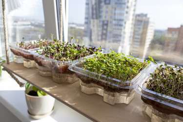 Similar image 22136089