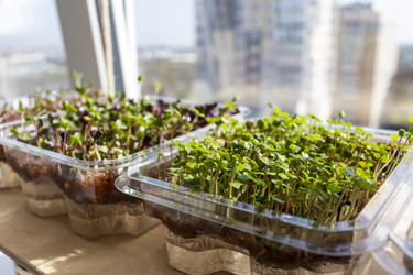 Similar image 22136090