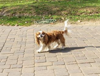 Similar image 22136092