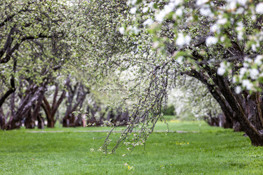 Similar image 22135133