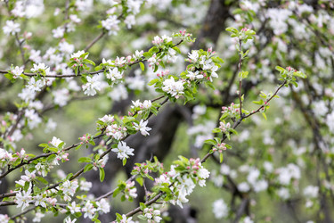 Similar image 22135135