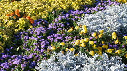 Similar image 22135350