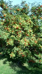 Similar image 22135351