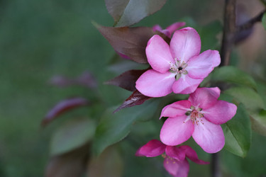 Similar image 22134902