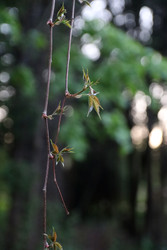 Similar image 22134903