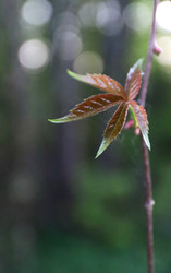 Similar image 22157814