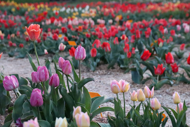 Similar image 22134904