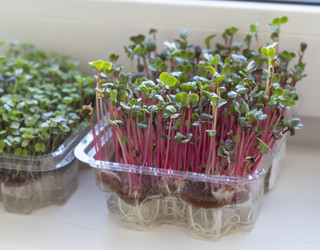 Similar image 22136538