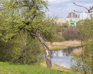 Similar image 22136539