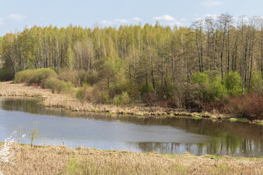 Similar image 22136540