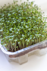 Similar image 22136543