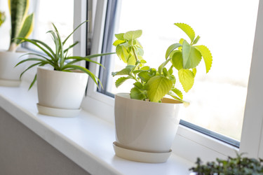 Similar image 22136544