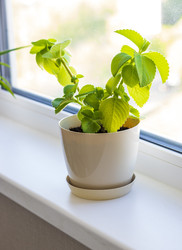 Similar image 22136545