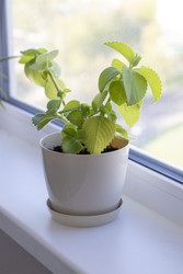 Similar image 22136548