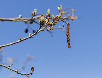 Similar image 22136555