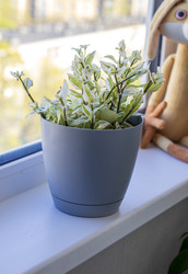 Similar image 22136556