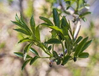 Similar image 22136557