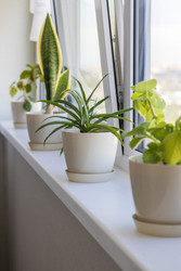 Similar image 22136558