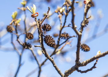 Similar image 22136559