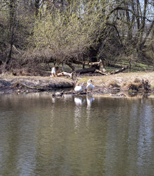 Similar image 22136561