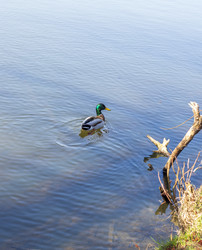 Similar image 22136563