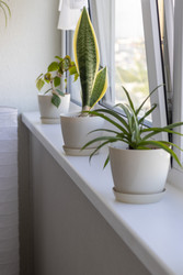 Similar image 22136564