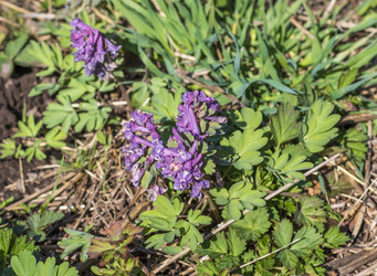 Similar image 22136565