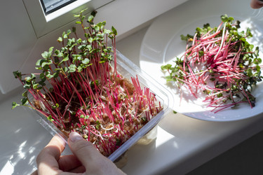 Similar image 22136566