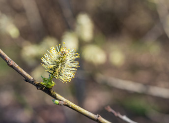 Similar image 22136567