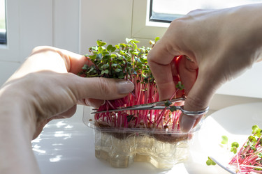 Similar image 22136568