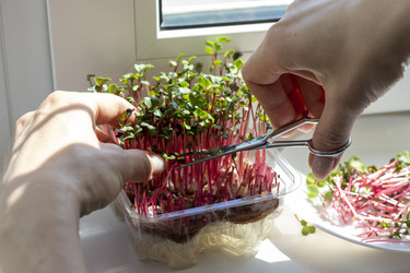 Similar image 22136570