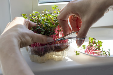 Similar image 22136572