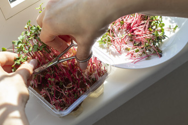 Similar image 22136574