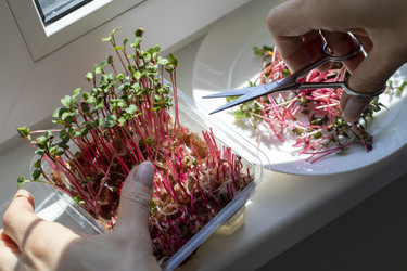 Similar image 22136576