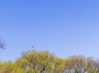 Similar image 22136577