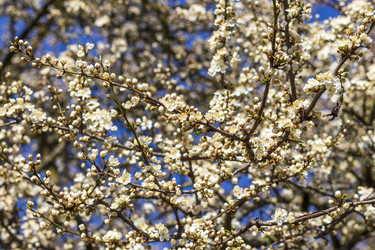 Similar image 22136579