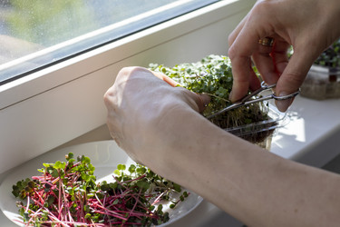 Similar image 22136580