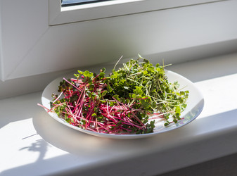 Similar image 22136582