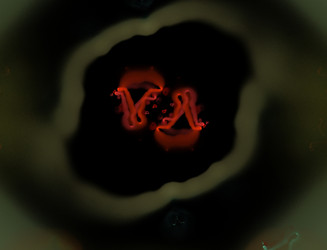 Similar image 22140732