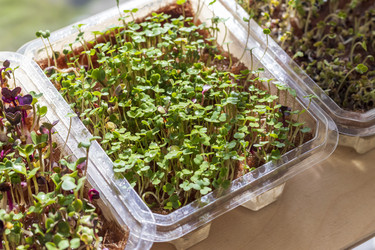 Similar image 22136098